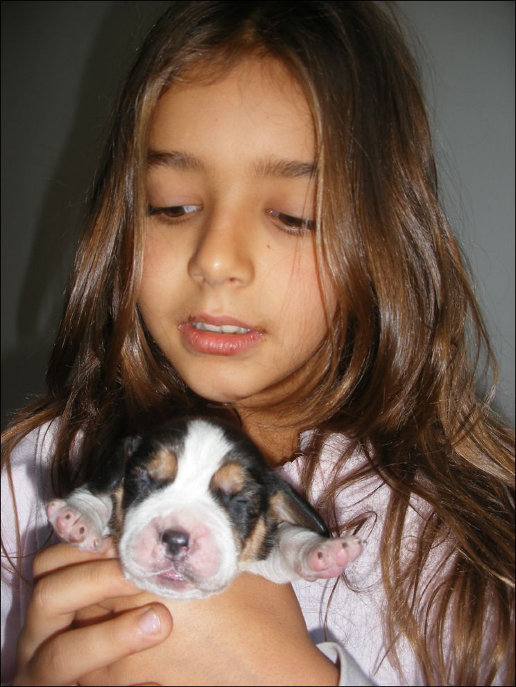 cuccioli amelie-14